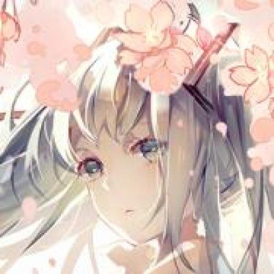 王毅：不能任由谁拳头硬谁说了算